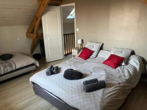 Gîte à la ferme: Coig de Lamothe