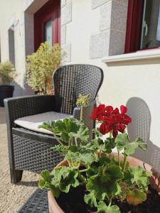 Gîte atypique le plus haut de Vendée