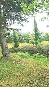 Gîte Bedoin Les Febriers