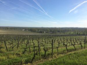 Gite Brandet