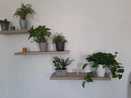 Gîte chaleureux avec SPA privatif