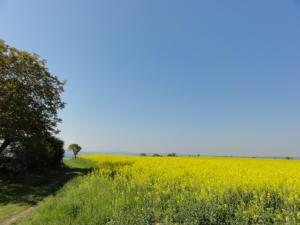Maison de vacances Gîte Charroux - Allier, 4 pièces, 7 personnes - FR-1-489-271 3 rue du Crest 86250 Charroux-dʼAllier Auvergne