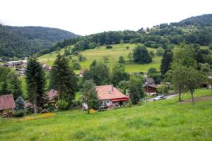 Maison de vacances Gite Chez Mimie 20, rue Erlenbach 68380 Breitenbach-Haut-Rhin Alsace