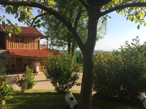 Gite colombe des bois