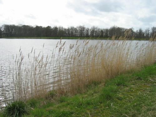Gîte Communauté de communes Brenne - Val de Creuse-Douadic, 3 pièces, 5 personnes - FR-1-591-38