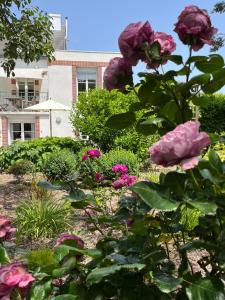 Maison de vacances Gîte cosy sur jardin 16 Lieu Dit de Kerhuiten 29350 Moëlan-sur-Mer Bretagne