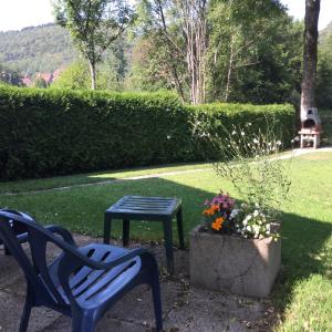 Gîte cottage Chardon en Franche Comte bord de rivière Lizon