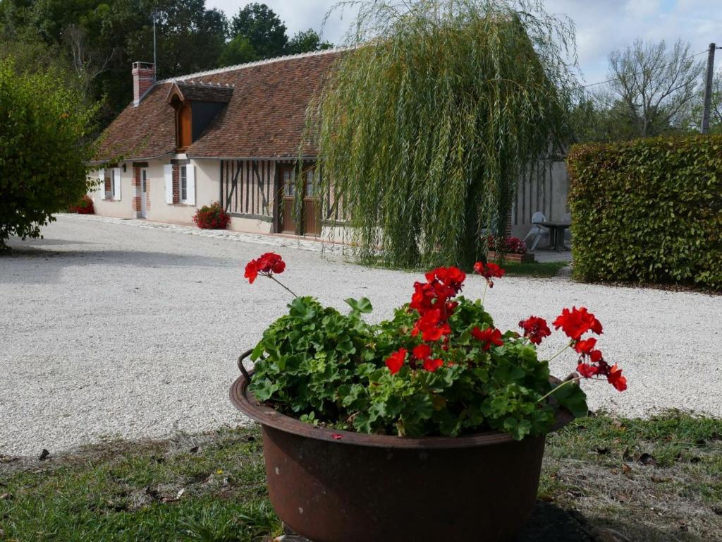 Maison de vacances Gîte Cour-Cheverny, 3 pièces, 5 personnes - FR-1-491-225 12 VOIE DES PERRAUDIERES 41700 Cour-Cheverny