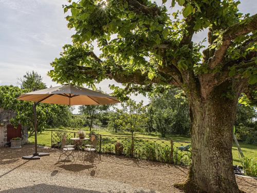 Gîte Cour-Cheverny, 4 pièces, 9 personnes - FR-1-491-220