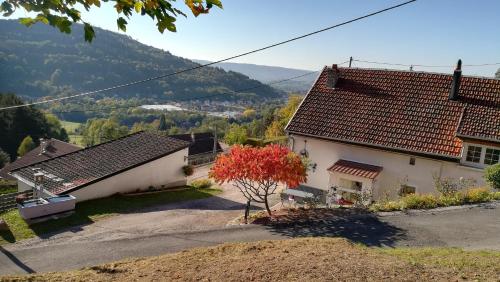 Gîte de Bellevue Maison Traditionnelle Vosgienne