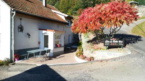 Gîte de Bellevue Maison Traditionnelle Vosgienne