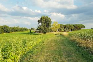 Maison de vacances Gîte de campagne L'Estressol 527 chemin de pradelle 47220 Cuq Aquitaine