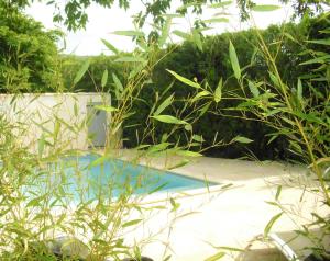 Gîte de charme piscine et SPA en Provence