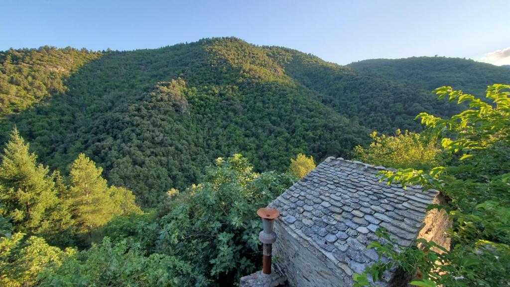 Maison de vacances Gîte de Combelebouze en Cévennes - Cosy, Confort et Climatisé - 3 étoiles Combelebouze 48240 Saint-Privat-de-Vallongue