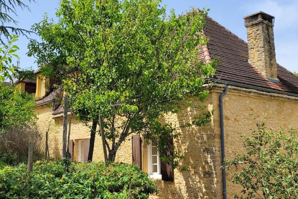 Gite de groupe, piscine et tennis Impasse de la Sagne Est, 24290 La Chapelle-Aubareil