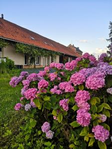 Maison de vacances Gîte de L'Etang Présent 179 Rue Jean Duez 59171 Hornaing Nord-Pas-de-Calais