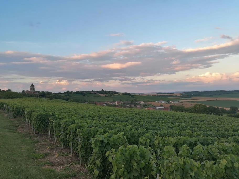 Maison de vacances Gîte de la traverse, 6 à 8 personnes 18 Rue de Traverse 51120 Allemant