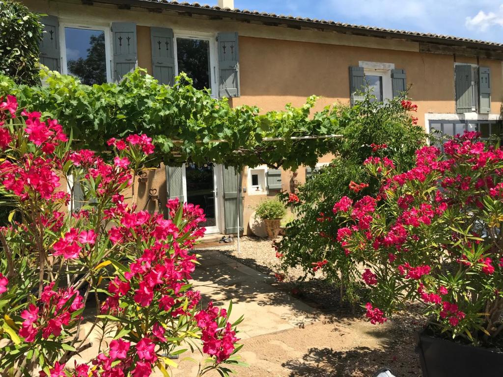 Gîte de Roches Toucan 41110 Seigy