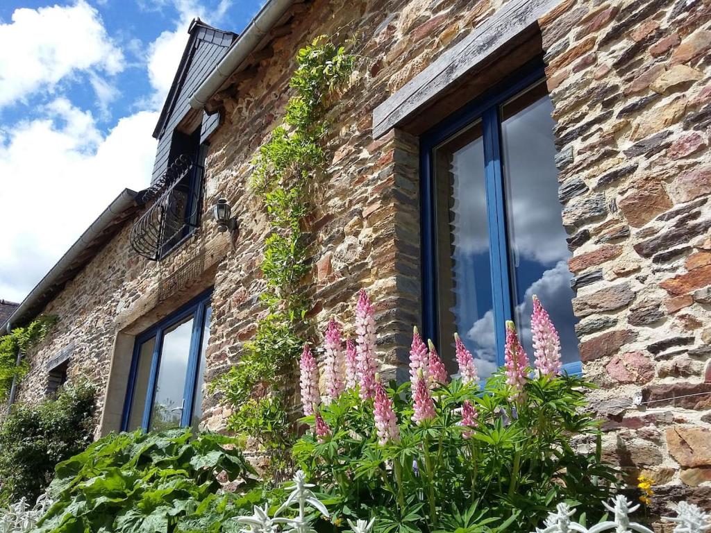 Gîte des biches 67440 Birkenwald