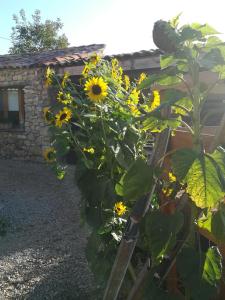 GITE DES CAMPAGNES
