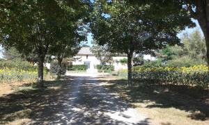 Gîte Des Pas De Renards