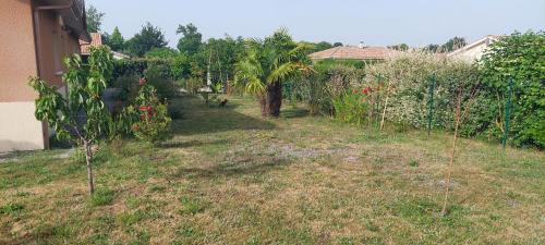 Gite des Pins