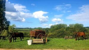 Maison de vacances Gite des Trévignes Les Trevignes 14340 Cambremer Normandie