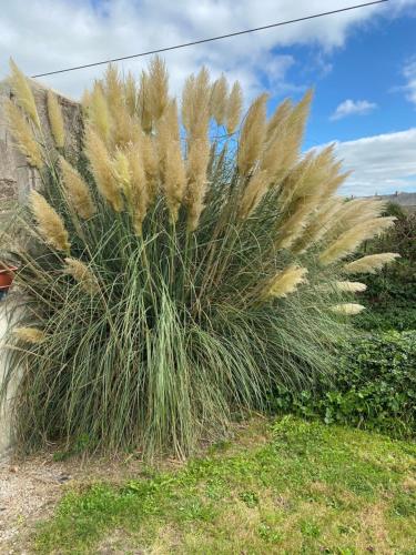 Gîte du Bois Pennier, au calme , à 15 km des plages du Débarquement