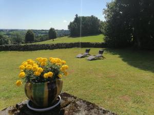 Gîte du Bosquet Pays de Salers Cantal