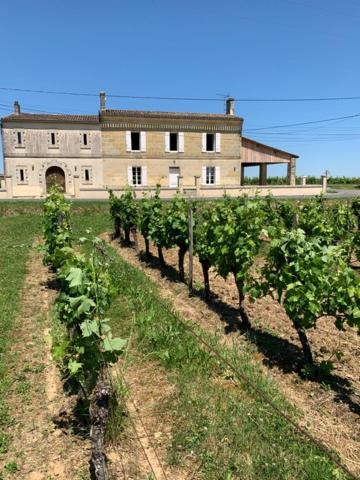 Gîte du Château La Rose des Vents 6 TERREBASSE, 33570 Puisseguin