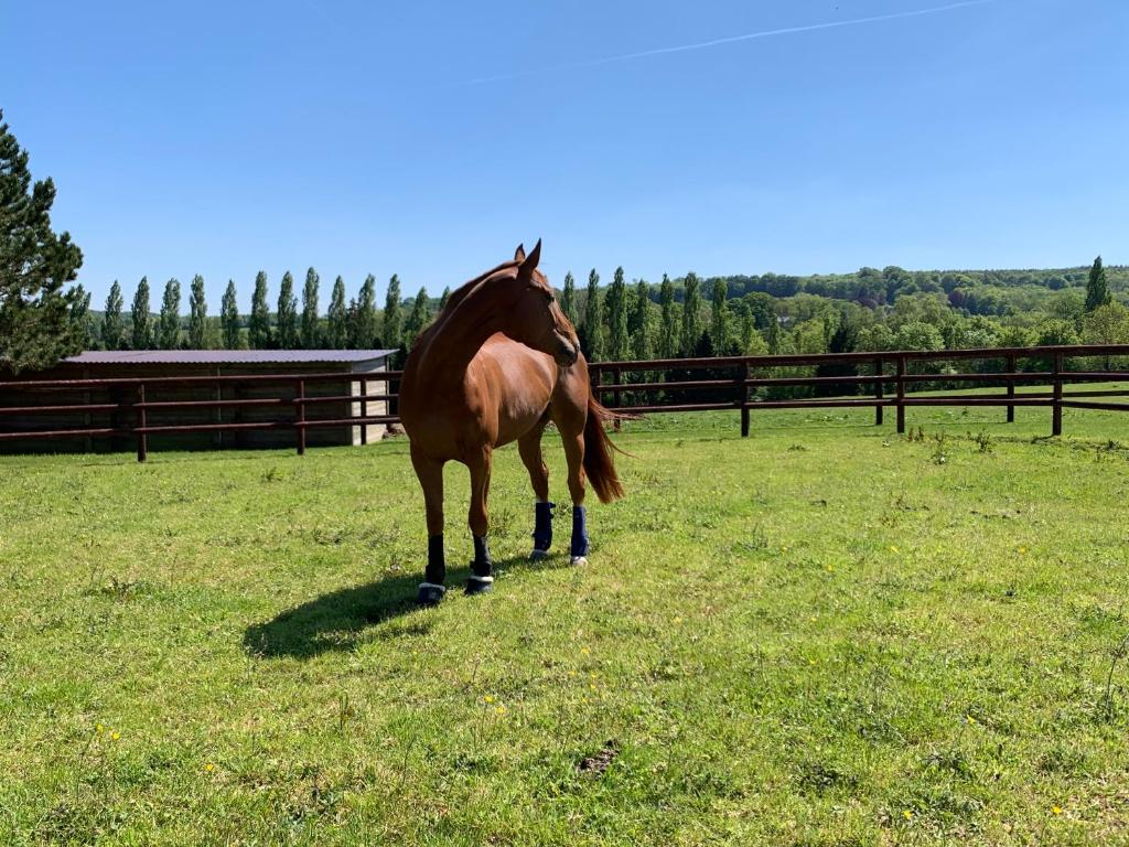 Gîte du Haras de la vallée de REUX 445 D278, 14130 Reux