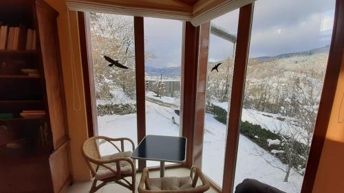 Gîte du Kiwi