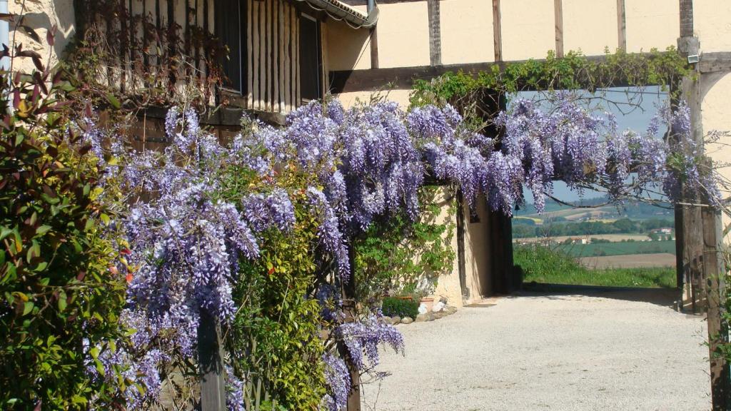 Gite du Paradis Quartier de l'Eglise, 65230 Vieuzos