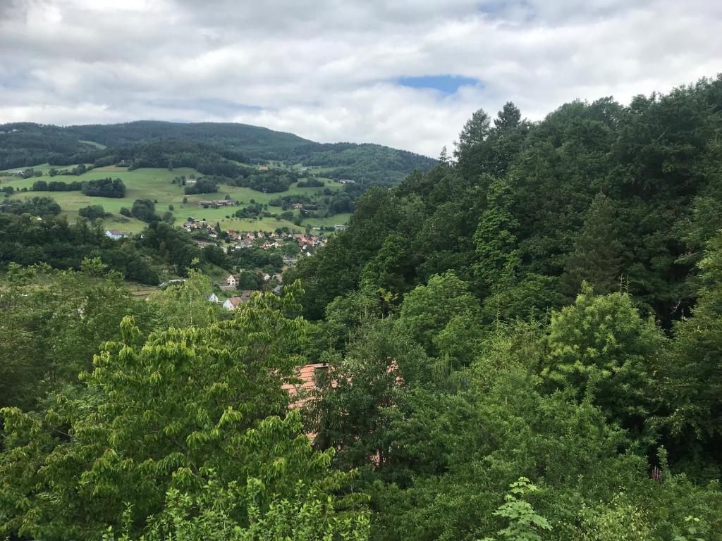 Maison de vacances Gîte du ROCHER Chemin de la Pépinière 68650 Lapoutroie