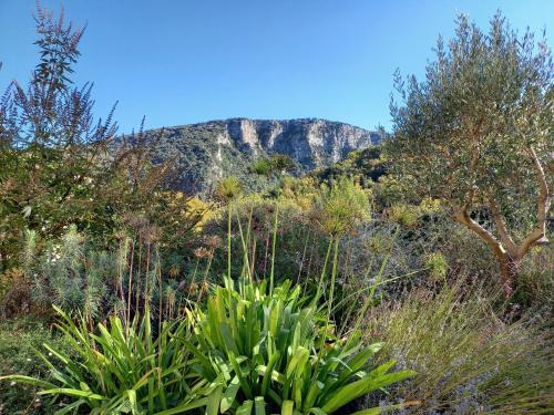 Gîte en Cévennes du sud, bergerie restaurée, 2 à 4 personnes, piscine, vue exceptionnelle, authenticité et confort
