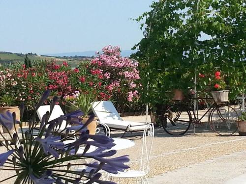 Gîte en Pays Cathare