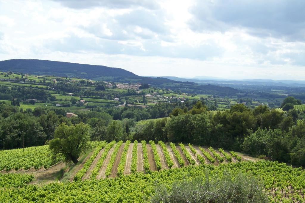 Maison de vacances Gîte en provence au coeur des vignes 393 chemin serre de la donne 84110 Villedieu