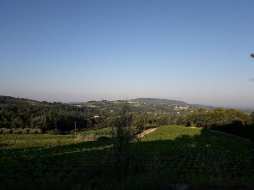 Gîte en provence au coeur des vignes