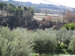 Gîte en provence au coeur des vignes