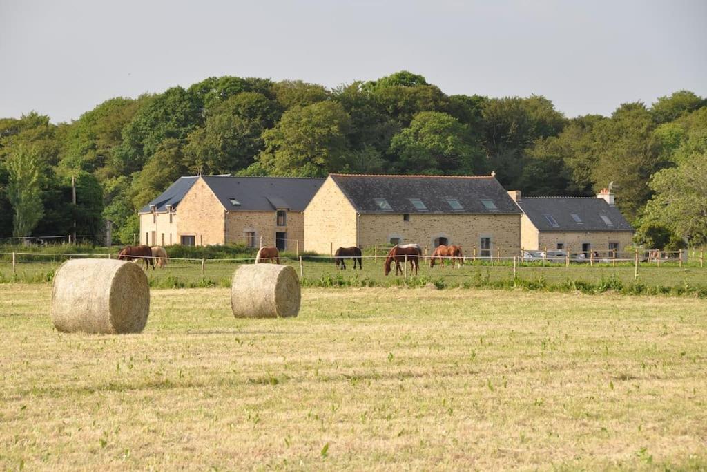 Gîte entre mer et forêt Kernenez, 29360 Clohars-Carnoët