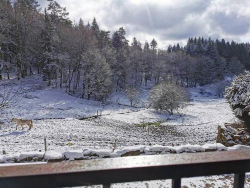Gîte et gîte d'étape Vassivière à cheval