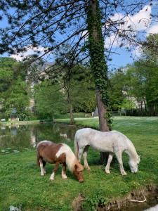 Gite Familial Chateau La Roche Racan