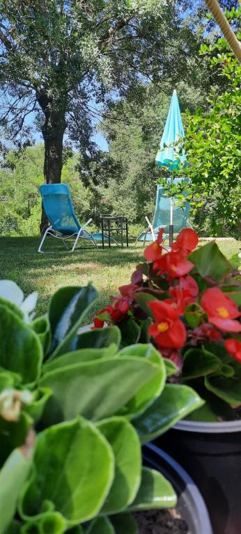 Maison de vacances Gite Florence near Saint Chinian Route de Saint Chinian 34360 Pierrerue