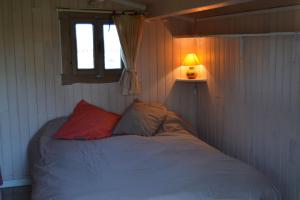 Gite foret landaise