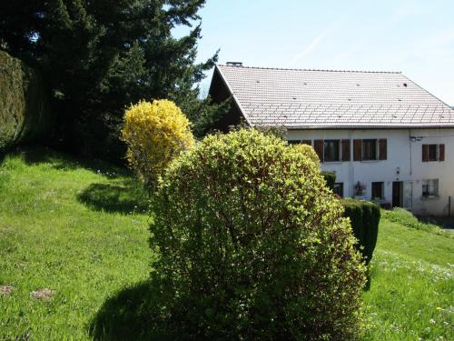 Gîte Fraize, 2 pièces, 3 personnes - FR-1-589-81