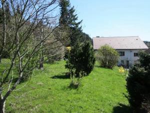 Gîte Fraize, 2 pièces, 3 personnes - FR-1-589-81