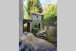 Maison de vacances Gîte Framboisier au Château des Pauses Le Château des Pauses Les Pauses 30570 Saint-André-de-Majencoules Languedoc-Roussillon