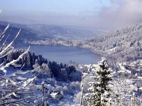 Gîte Gérardmer, 2 pièces, 2 personnes - FR-1-589-56