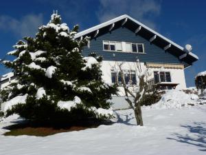 Gîte Gérardmer, 4 pièces, 6 personnes - FR-1-589-94