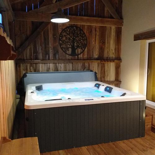 Gîte jacuzzi La Libellule en Périgord